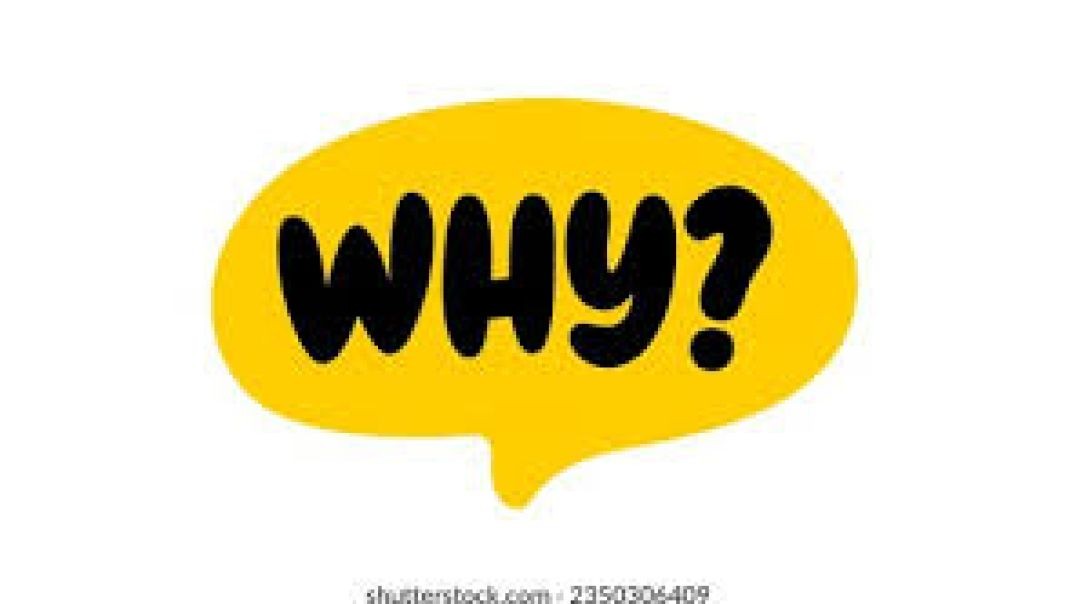 searching the why